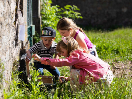 Treasure hunt in the vineyards