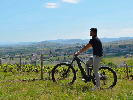 Explore : Bike tour of the vineyards & wine tasting