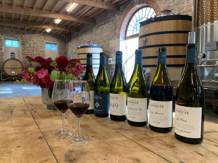 Escale : Visite de la cave & dégustation de vins