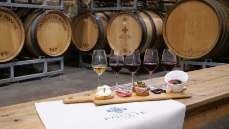 Gourmande : Dégustation d'accords mets et vins