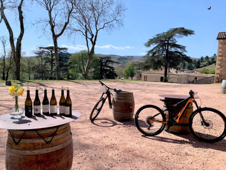 Exploration : Balade à vélo dans les vignes & dégustation