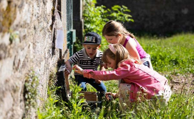 Treasure hunt in the vineyards