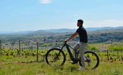 Explore : Bike tour of the vineyards & wine tasting