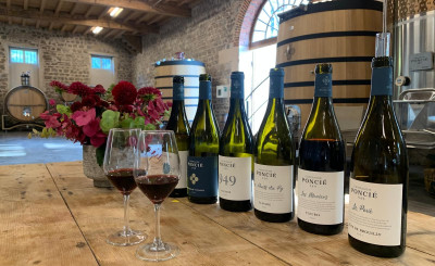 Stopover : Cellar tour & wine tasting