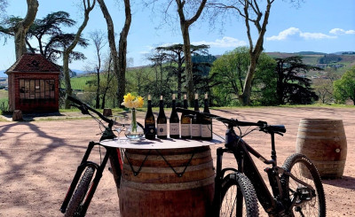Exploration : Balade à vélo dans les vignes & dégustation