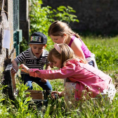 Treasure hunt in the vineyards