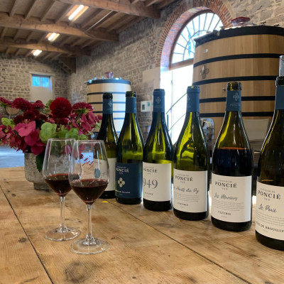 Escale : Visite de la cave & dégustation de vins