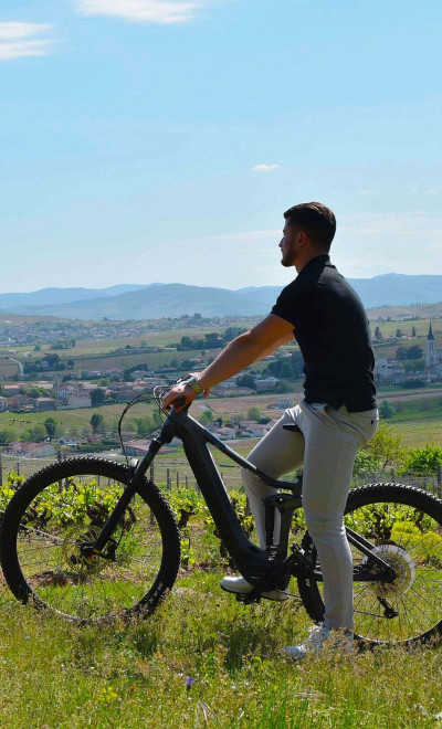 Explore : Bike tour of the vineyards & wine tasting