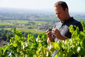independent and committed winemakers in the Beaujolais