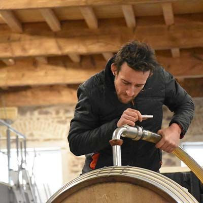 vinification dans le beaujolais