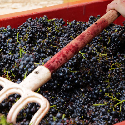 Château de Poncié Fleurie Beaujolais