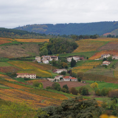 Currently at Château de Poncié...