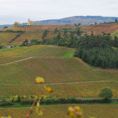 Currently at Château de Poncié...
