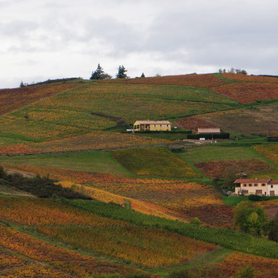 Château de Poncié Fleurie Beaujolais