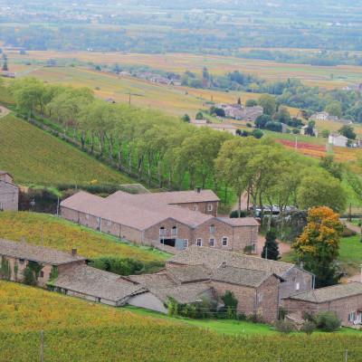 Château de Poncié Fleurie Beaujolais