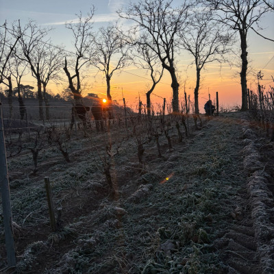 Château de Poncié Fleurie Beaujolais