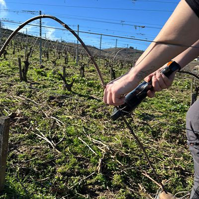 vin rouge 949 chateau de poncie beaujolais