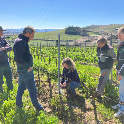 Château de Poncié Fleurie Beaujolais