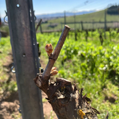 En ce moment au domaine…