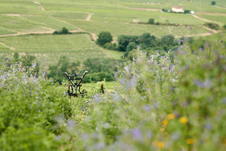 découvrir les vins et crus du beaujolais du chateau de poncié