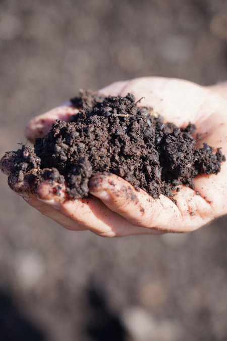 home made compost vineyard