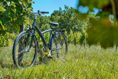 bike tour beaujolais