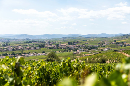 panoramic view of fleurie beaujolais