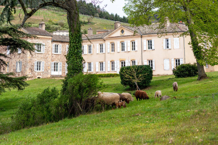 visiter le château de poncié beaujolais