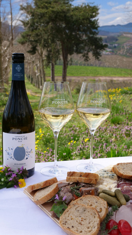 Pique-niquez au cœur des vignes de Fleurie