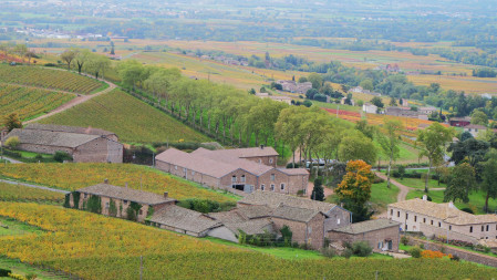 winegrowing estate chapel of the madonna