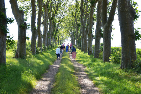 walking tour of a vineyard