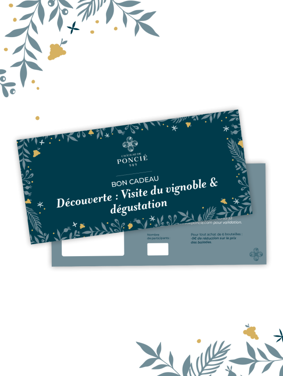 Bon cadeau - Découverte du Beaujolais