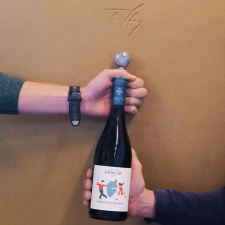 Focus on the 2025 vintage